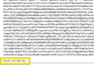 block dns