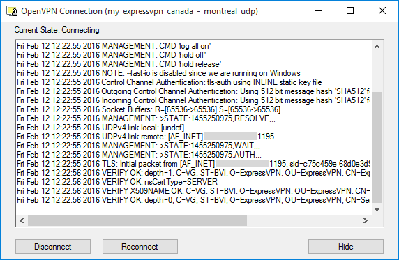windows openvpn manual config connecting screen