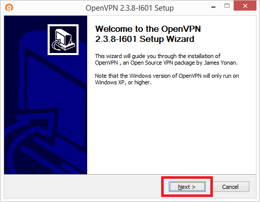 windows openvpn setup wizard